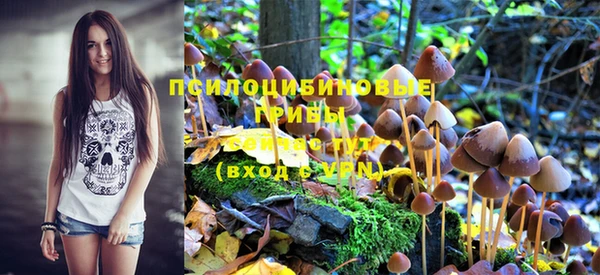 меф Ельня