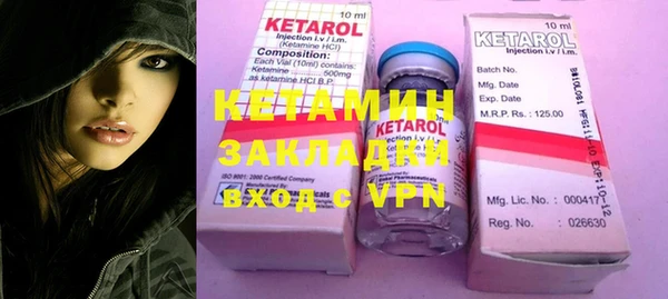прущие грибы Елабуга