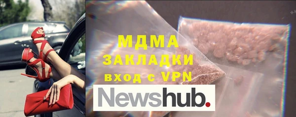 прущие грибы Елабуга