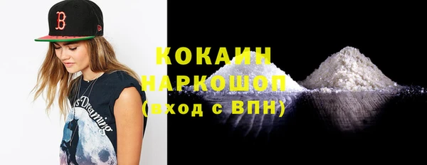 прущие грибы Елабуга
