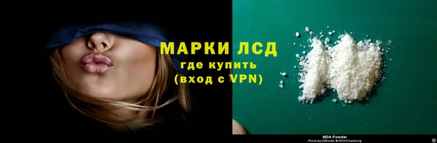 ALPHA PVP Елизово