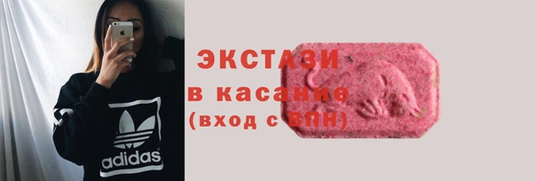 прущие грибы Елабуга
