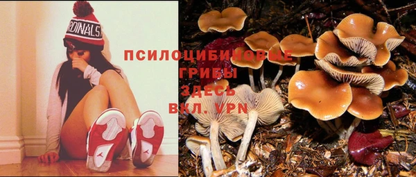 меф Ельня