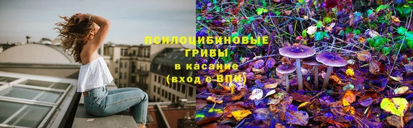 ALPHA PVP Елизово