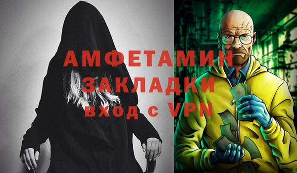 прущие грибы Елабуга
