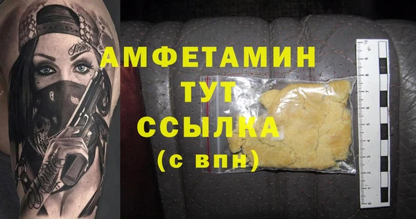 меф Ельня