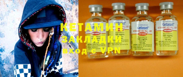 прущие грибы Елабуга