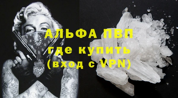 прущие грибы Елабуга