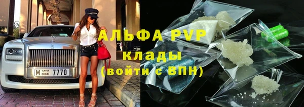 прущие грибы Елабуга