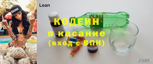 прущие грибы Елабуга