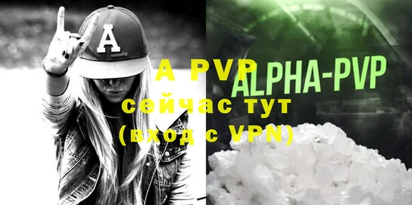 прущие грибы Елабуга