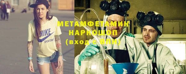 прущие грибы Елабуга