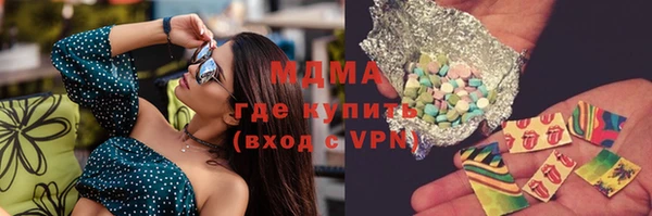 прущие грибы Елабуга